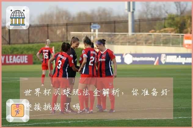 世界杯买球玩法全解析，你准备好迎接挑战了吗