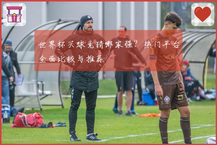 世界杯买球竞猜哪家强？热门平台全面比较与推荐