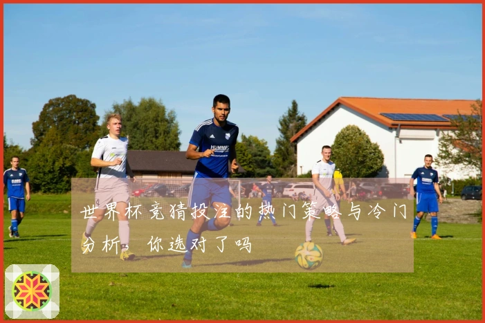 世界杯竞猜投注的热门策略与冷门分析，你选对了吗