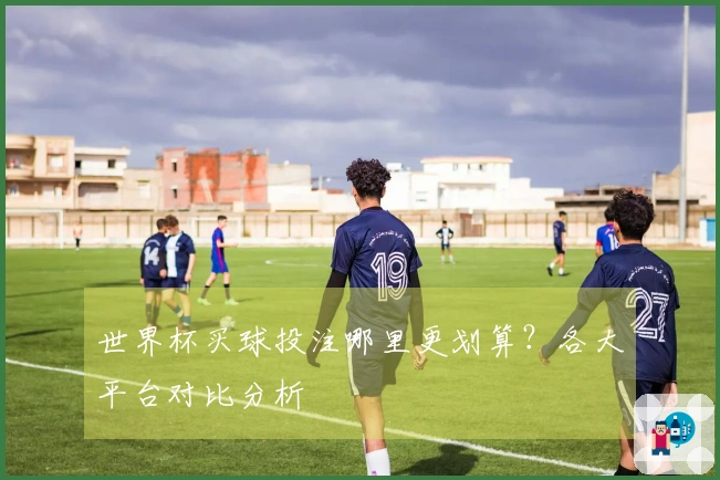 世界杯买球投注哪里更划算？各大平台对比分析