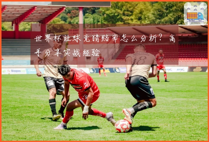 世界杯让球竞猜赔率怎么分析？高手分享实战经验