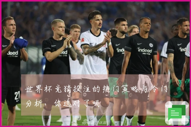 世界杯竞猜投注的热门策略与冷门分析，你选对了吗