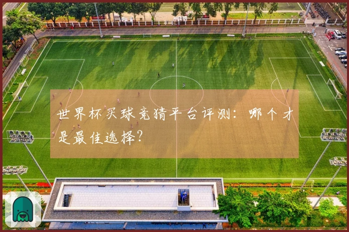 世界杯买球竞猜平台评测：哪个才是最佳选择？