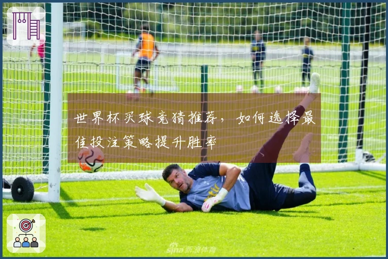 世界杯买球竞猜推荐，如何选择最佳投注策略提升胜率
