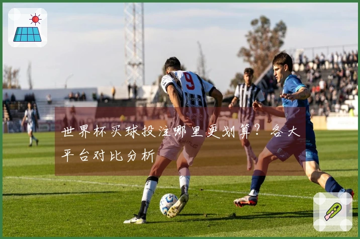 世界杯买球投注哪里更划算？各大平台对比分析