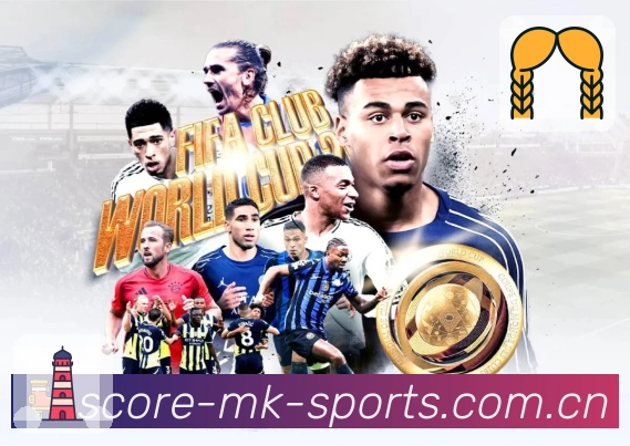 世界杯买球投注哪里更划算？各大平台对比分析